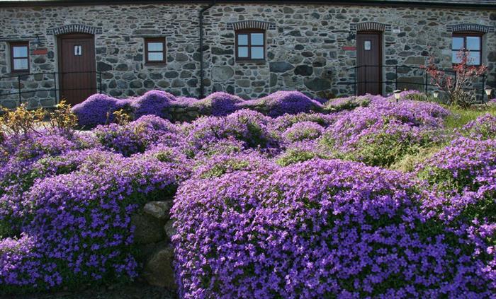 Hendy Farm Cottages